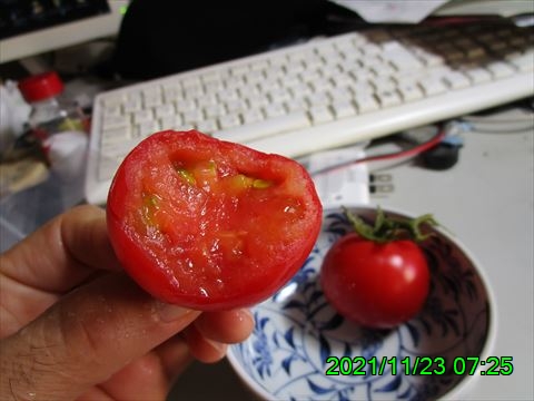 西田利の日記