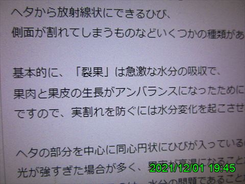 西田利の日記
