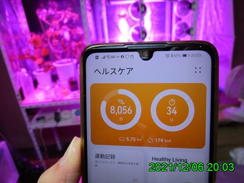 西田利の日記