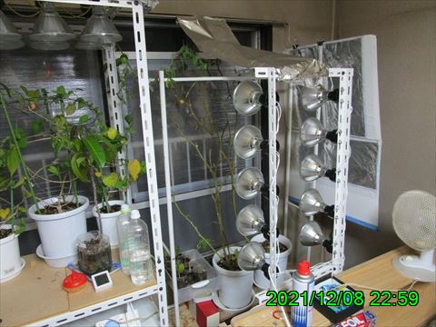 西田利の日記