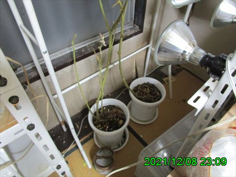 西田利の日記