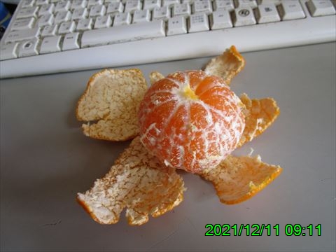 西田利の日記