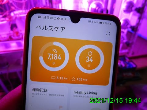 西田利の日記