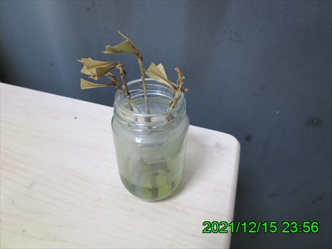西田利の日記