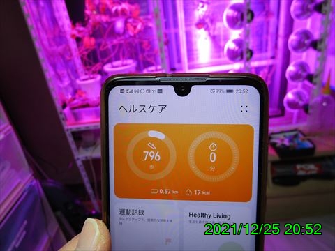 西田利の日記