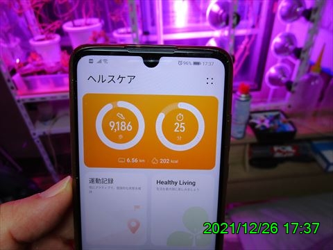 西田利の日記