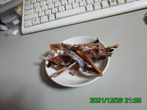 西田利の日記
