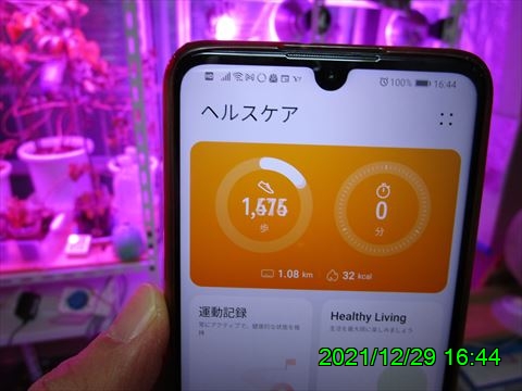 西田利の日記