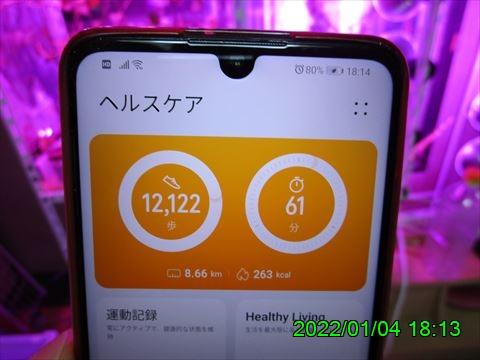西田利の日記