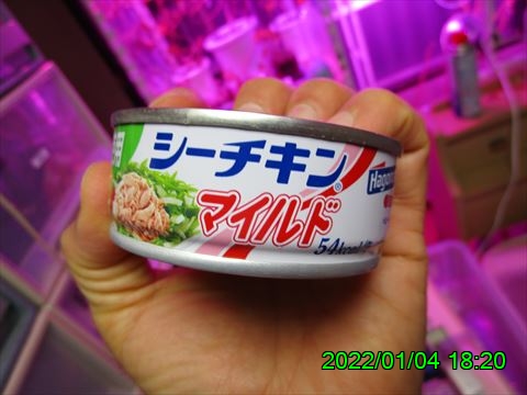 西田利の日記