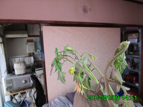 西田利の日記