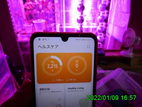 西田利の日記