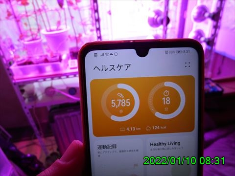 西田利の日記