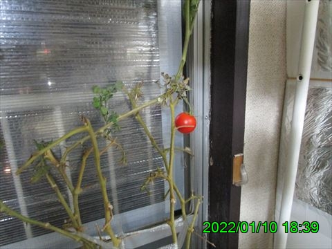 西田利の日記