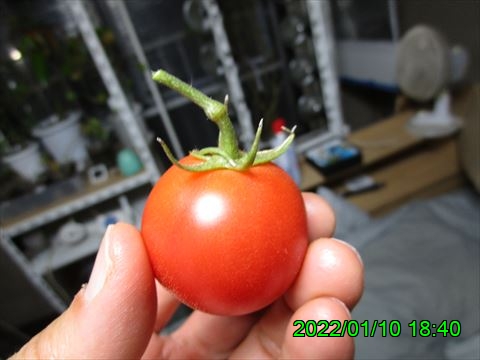 西田利の日記