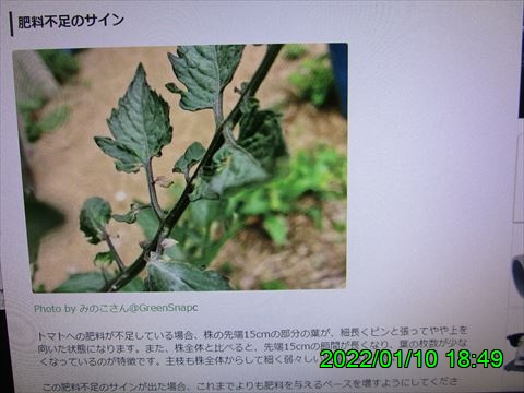 西田利の日記