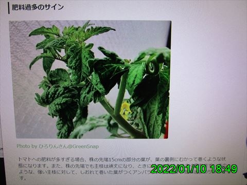 西田利の日記