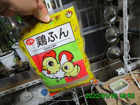 西田利の日記