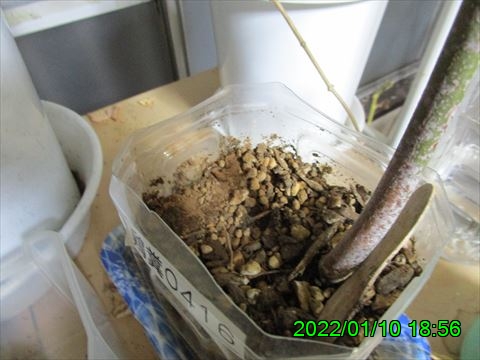 西田利の日記