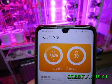 西田利の日記