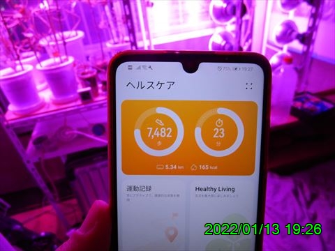 西田利の日記