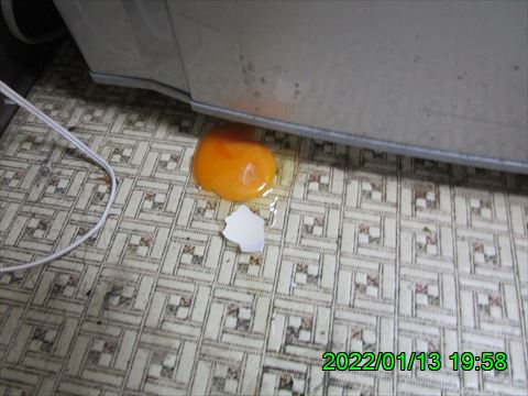 西田利の日記