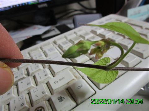西田利の日記