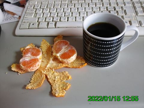 西田利の日記