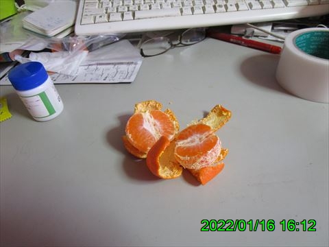 西田利の日記