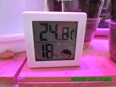 西田利の日記
