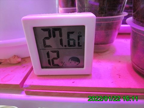 西田利の日記
