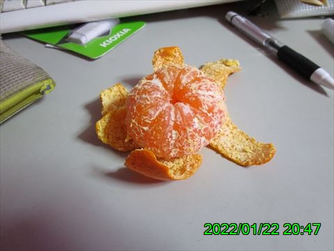 西田利の日記