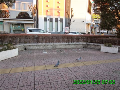 西田利の日記