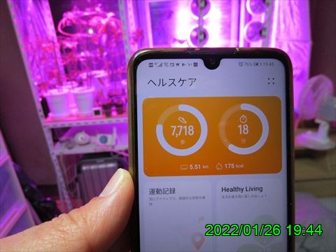 西田利の日記