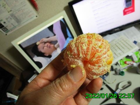 西田利の日記