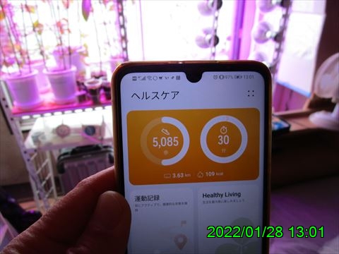 西田利の日記