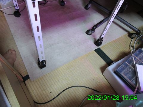西田利の日記