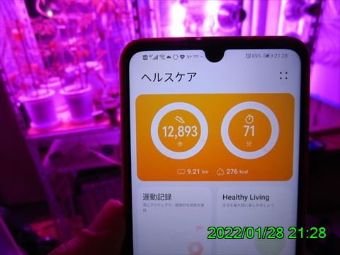 西田利の日記