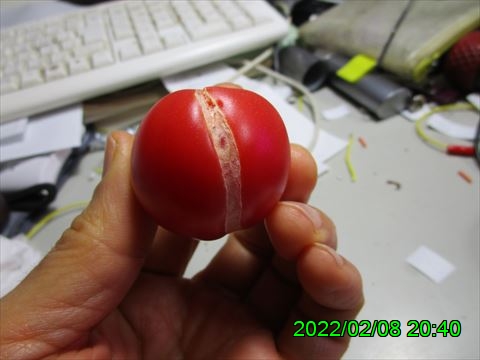 西田利の日記