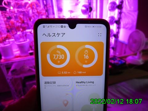 西田利の日記