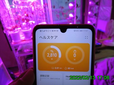 西田利の日記