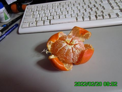 西田利の日記
