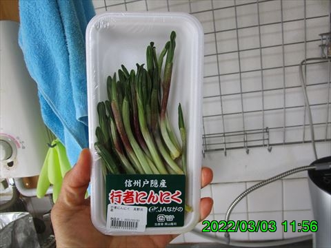 西田利の日記