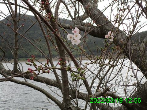 西田利の日記