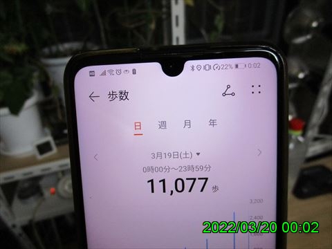 西田利の日記