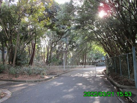 西田利の日記