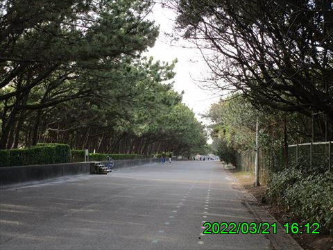 西田利の日記