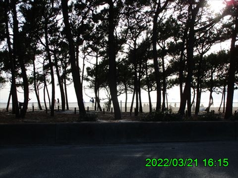 西田利の日記