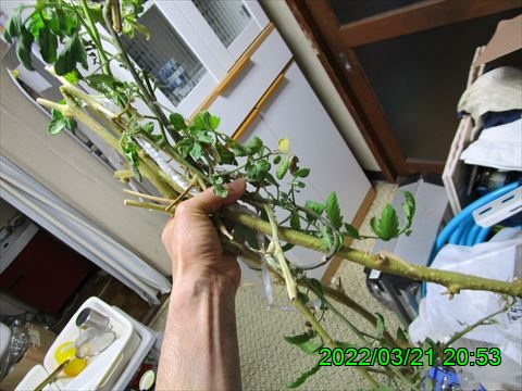 西田利の日記