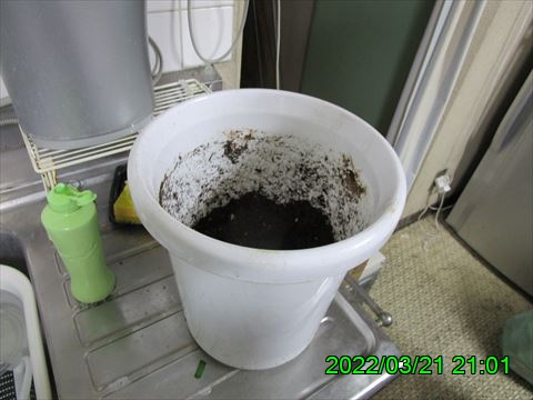 西田利の日記